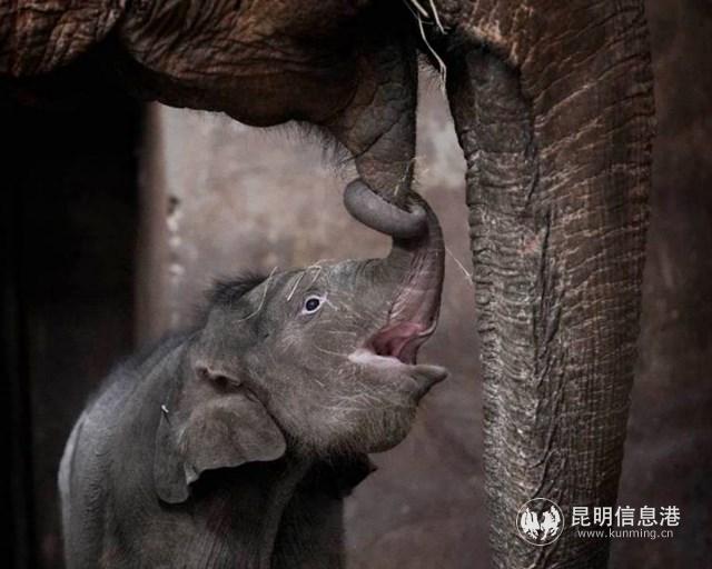 微信圖片_20200923155248