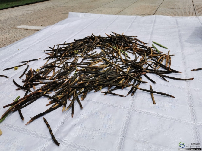 微信圖片_20200924095655