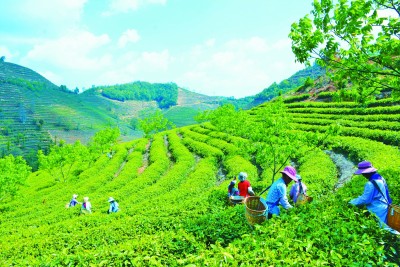 以教育精準(zhǔn)扶貧夯實(shí)全面脫貧基礎(chǔ) 以教育精準(zhǔn)扶貧夯實(shí)全面脫貧基礎(chǔ)