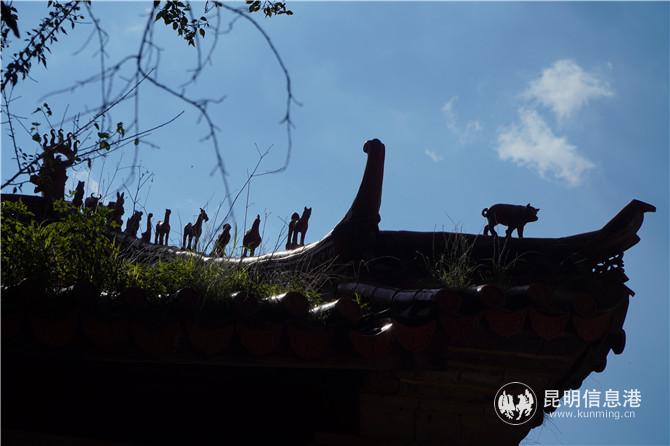 舊寨村 (1) 舊寨村 (1)