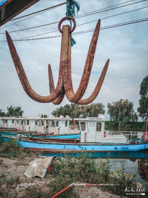 16010003684962264483658932731_5560