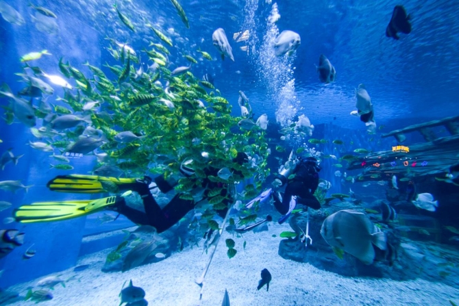 重慶融創(chuàng)文旅城海世界 重慶融創(chuàng)文旅城海世界