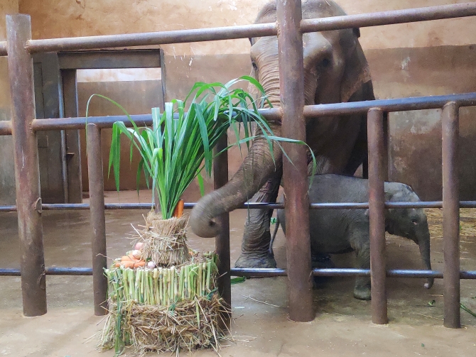 QQ圖片20200926225009