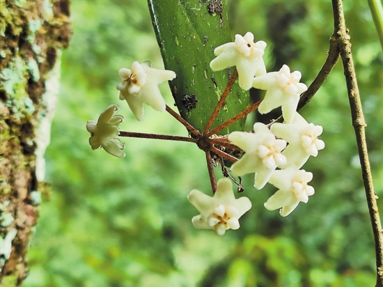 2020092703_res07_attpic_brief