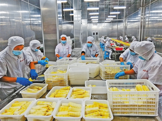 2020092703_res11_attpic_brief 2020092703_res11_attpic_brief