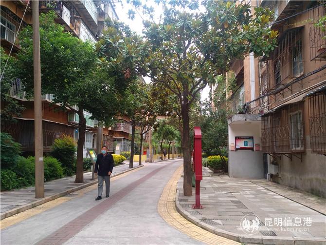 居民走在社區(qū)改造好的道路上。記者江楓攝