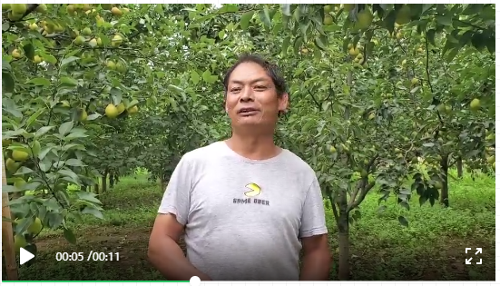 視頻一:陶炳林接受采訪 視頻一:陶炳林接受采訪