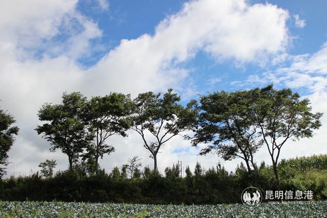 魯黑村風(fēng)景優(yōu)美。記者薛江濤攝