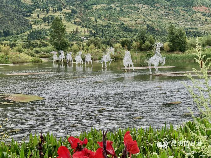 1大地裝置作品“白駒過隙”記者張玉玲攝 1大地裝置作品“白駒過隙”記者張玉玲攝