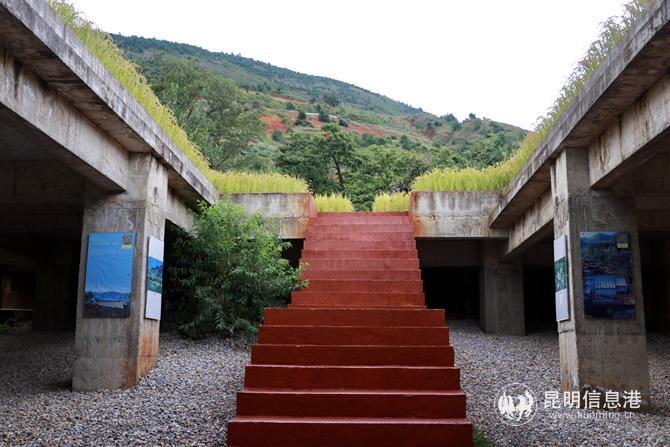 3空中稻田劇場 記者張玉玲攝 3空中稻田劇場 記者張玉玲攝