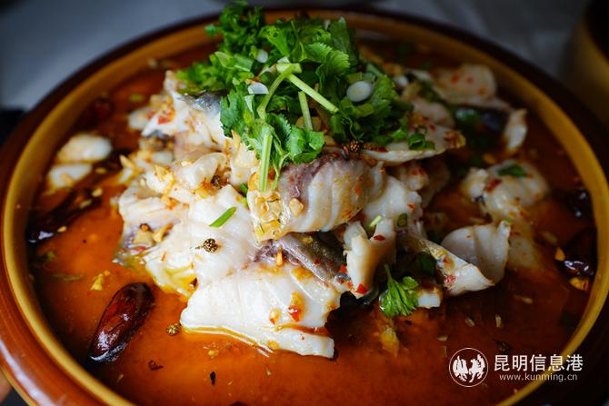 參評菜品 參評菜品