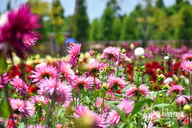 mmexport1601468702756 mmexport1601468702756