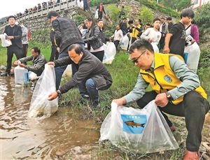 2020100502_res04_attpic_icon 2020100502_res04_attpic_icon