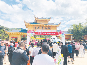 44701602096407041 44701602096407041