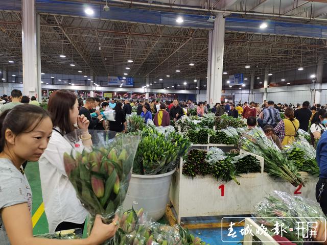 雙節(jié)期間日均入園人數(shù)達(dá)2萬 價格高于往年一倍1.jpg