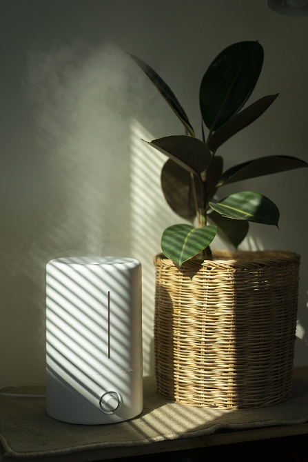 超聲波式加濕器是市場上最常見的加濕器