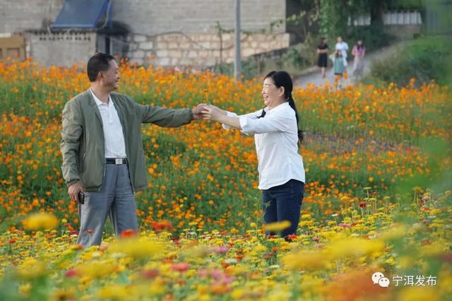 這個秋天帶上TA到寧洱看這片花海4.jpg