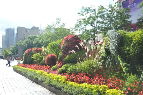 3.webp_副本 3.webp_副本