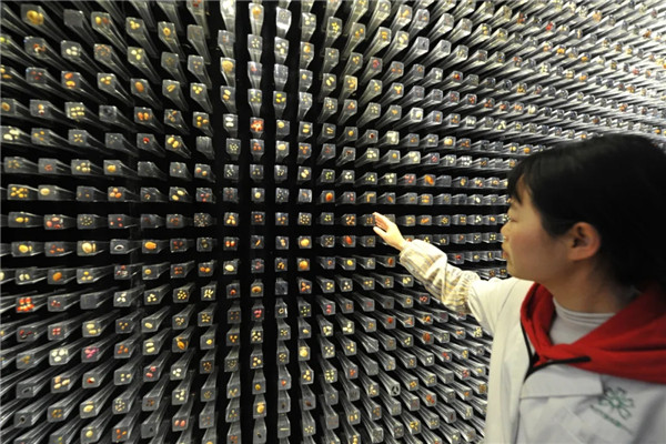 6.webp_副本 6.webp_副本