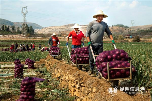 20201017_142615 20201017_142615