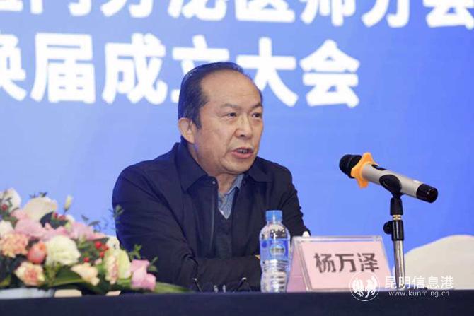 云南省醫(yī)師協(xié)會副會長兼秘書長楊萬澤致辭。