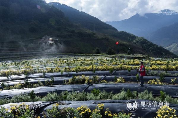 20201018_171847 20201018_171847