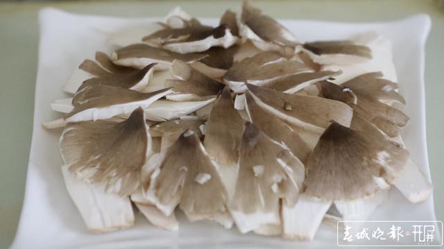 鮮嫩可口 周末來施甸赴一場雞樅盛宴