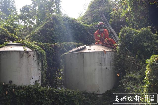 豬場停水兩天，消防員給750頭“二師兄”送水解渴 (1).jpg