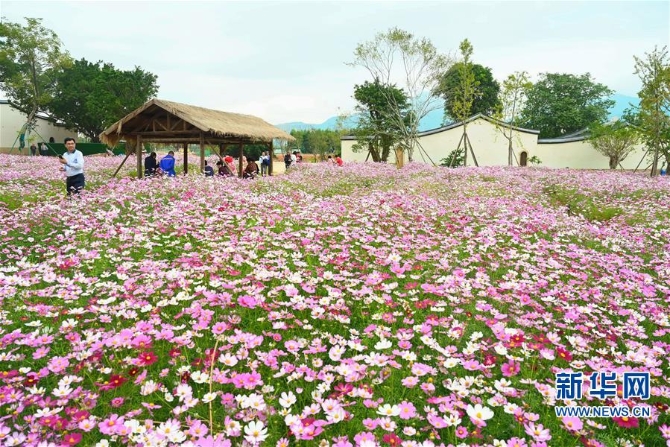 （生態(tài)）（3）榕城金秋綠意濃