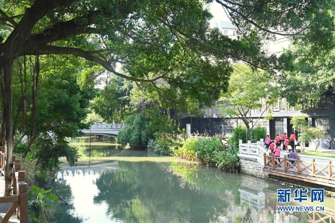 （生態(tài)）（5）榕城金秋綠意濃