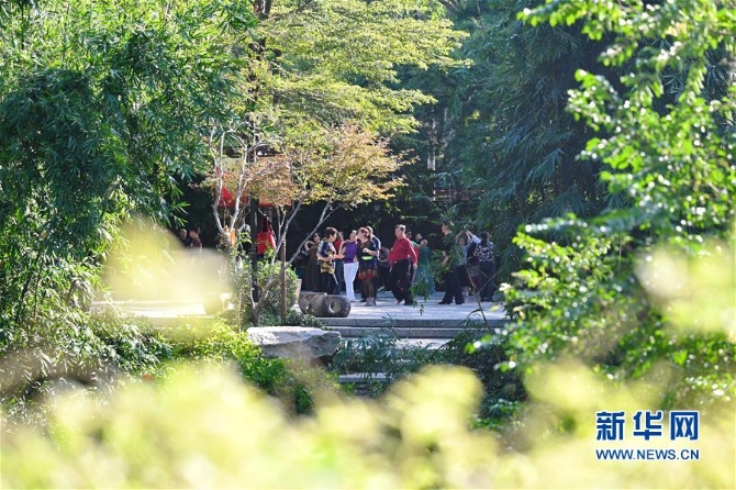 （生態(tài)）（4）榕城金秋綠意濃