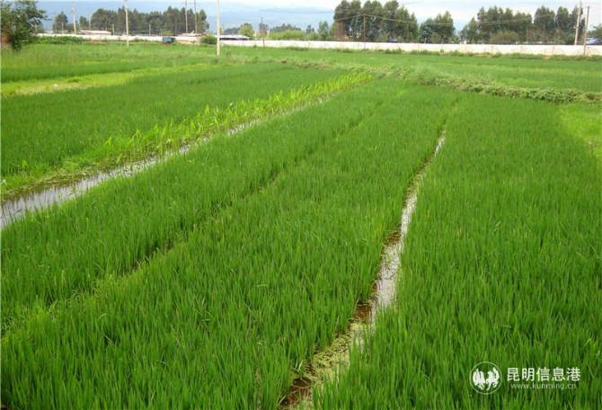 微信圖片_20201028141806 微信圖片_20201028141806