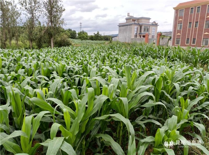 微信圖片_20201028141814 微信圖片_20201028141814