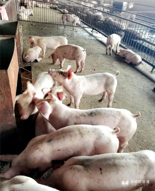 微信圖片_20201028141820 微信圖片_20201028141820