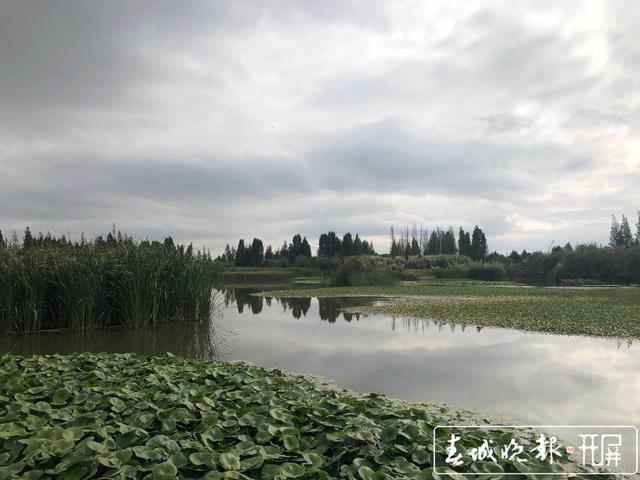 昆明寶豐半島濕地