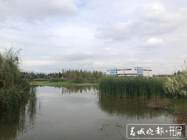 昆明寶豐半島濕地