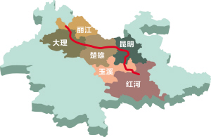 21491604257911556 21491604257911556