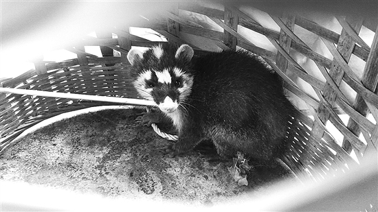 20201102A11_res03_attpic_brief 20201102A11_res03_attpic_brief