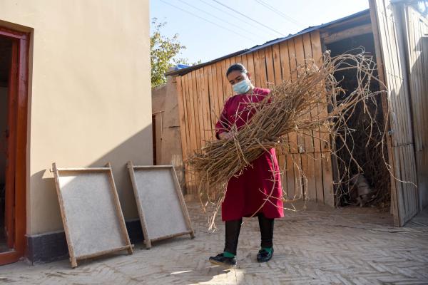 桑皮造紙——穿越千年的古法技藝
