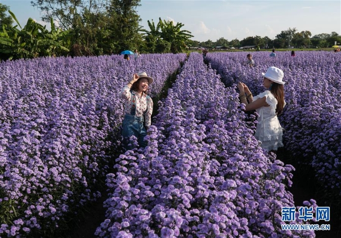 1126693589_16044022869731n 1126693589_16044022869731n