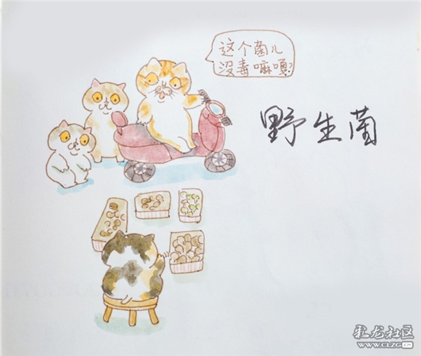 大白貓手繪作品。