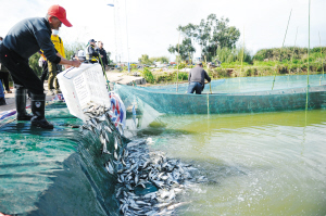 1631604600955914 1631604600955914