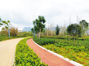西山區(qū)新河片區(qū)湖濱生態(tài)濕地“海綿體”項(xiàng)目。 西山區(qū)水務(wù)局供圖
