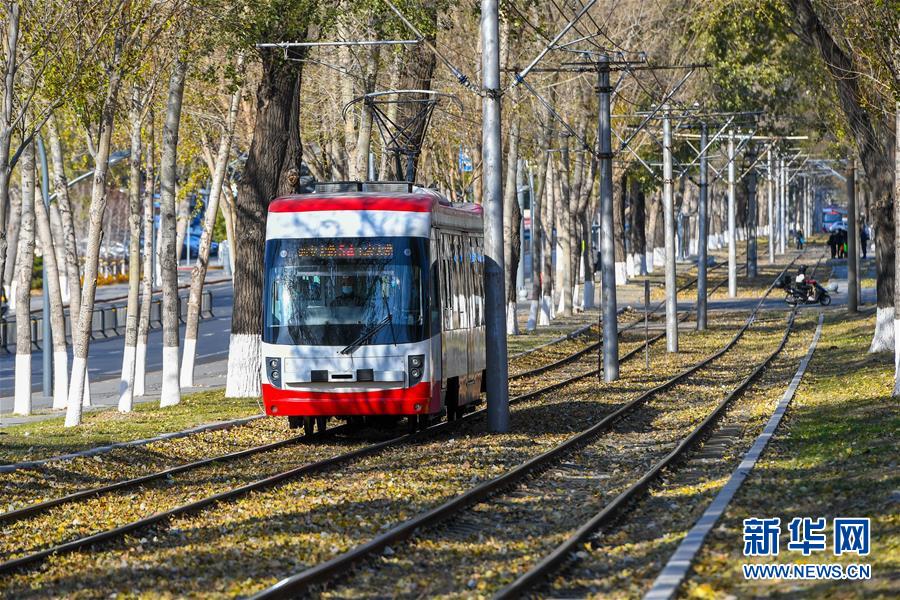 （圖文互動(dòng)）（1）這里為何“不掃落葉”——長(zhǎng)春創(chuàng)新管理理念打造城市秋景