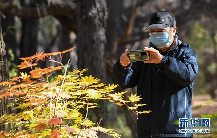 （圖文互動(dòng)）（4）這里為何“不掃落葉”——長(zhǎng)春創(chuàng)新管理理念打造城市秋景