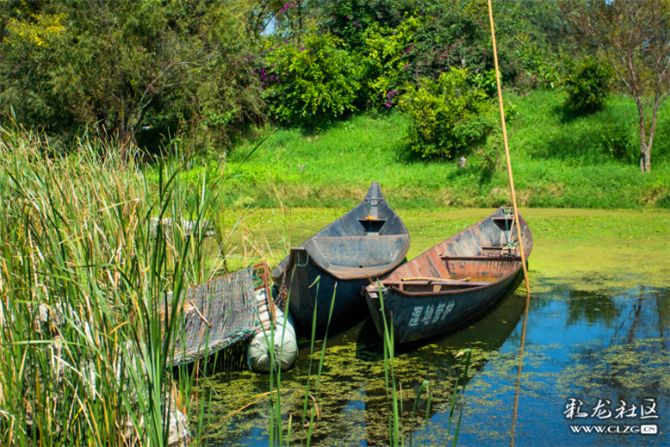 南滇池濕地公園 (1)