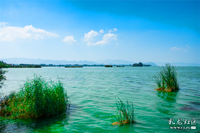 南滇池濕地公園 (3)