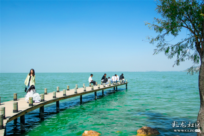 南滇池濕地公園 (4)