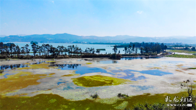 南滇池濕地公園 (5)