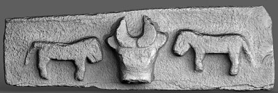 篳路藍(lán)縷 成就輝煌 履行使命 再展宏圖——關(guān)于中國(guó)考古學(xué)發(fā)展的回顧與思考